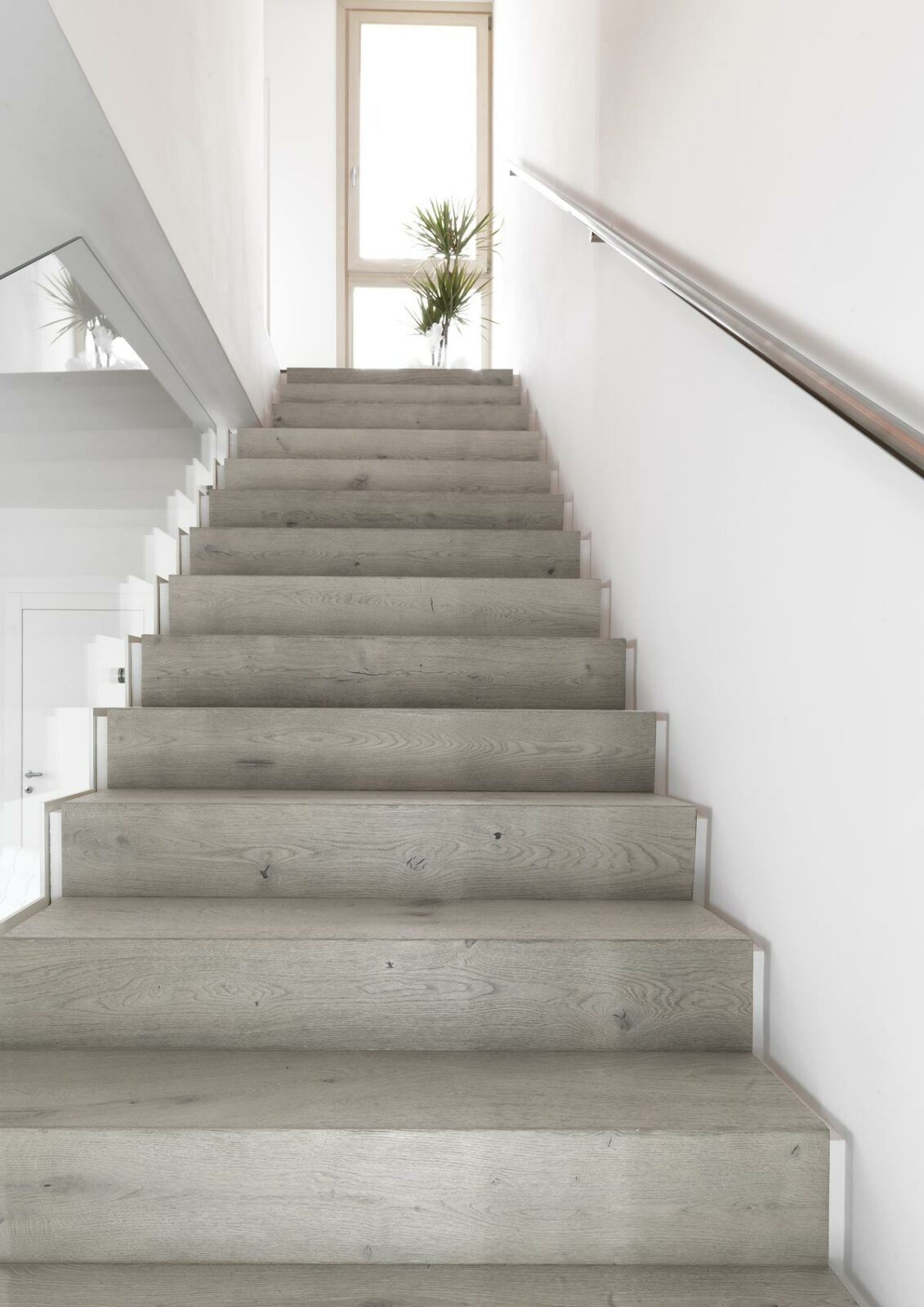 Rivestimenti per scale - Quercia Contorta