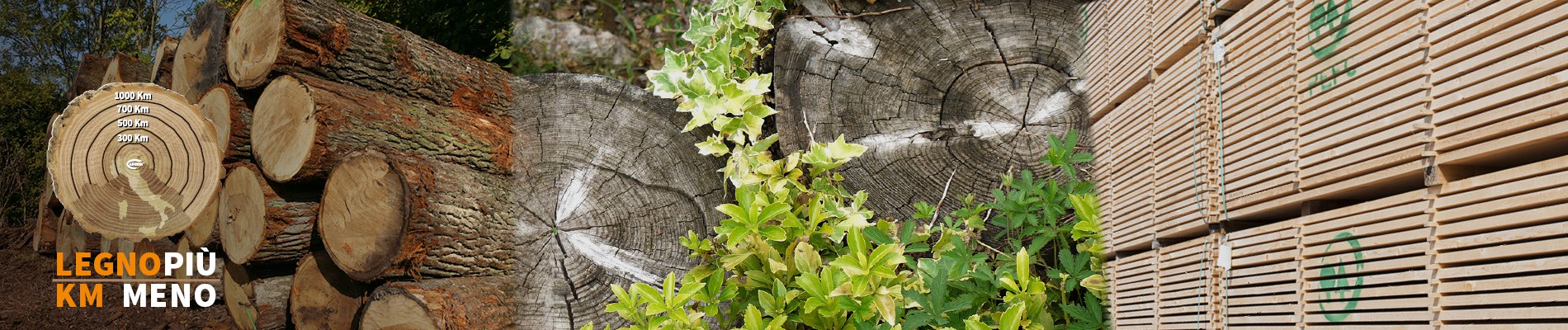 legno sostenibile