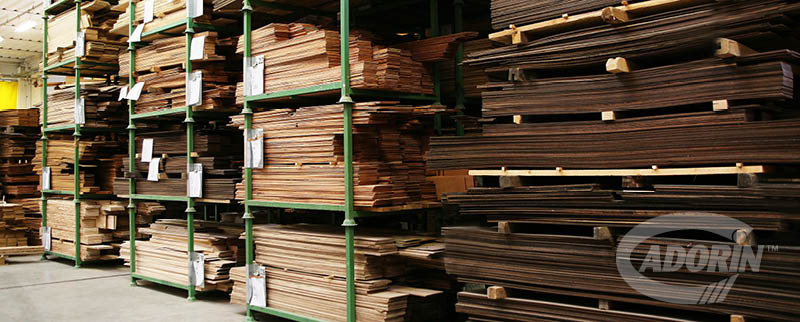 vasta gamma specie legnose - wide range of timbers
