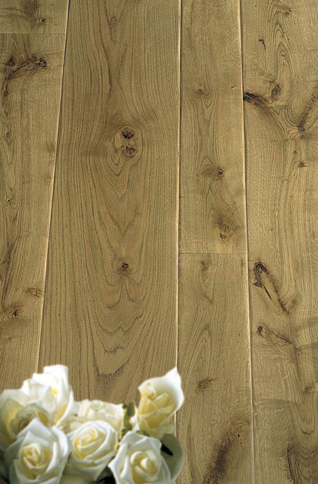 Quercia Contorta Anticata