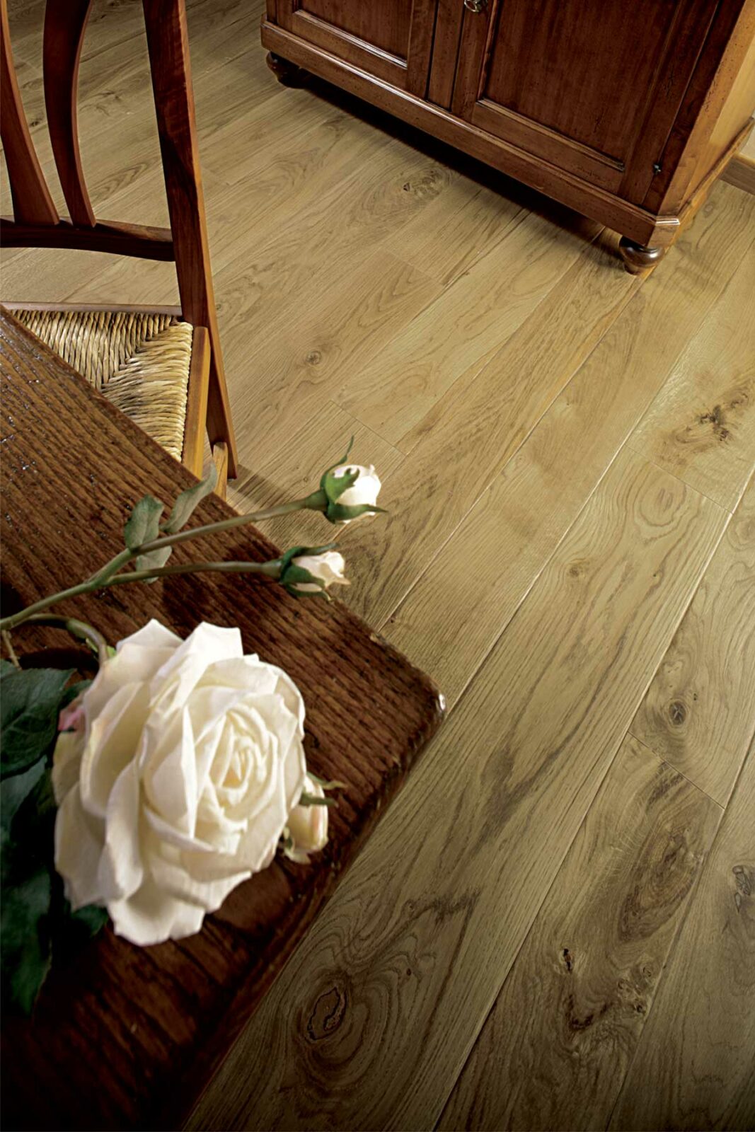 Quercia Contorta Anticata