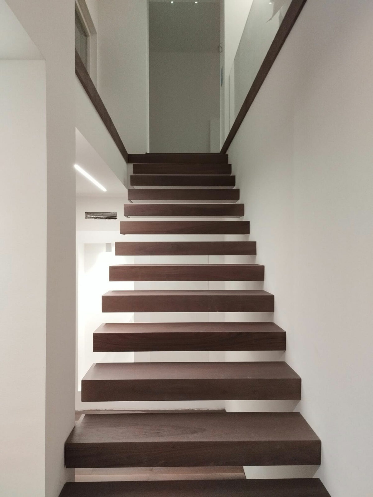 Noce Nazionale Corteccia